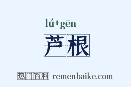 芦根是什么意思的图片